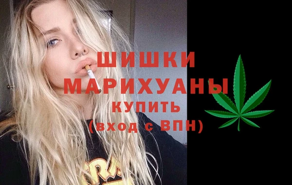 2c-b Горняк