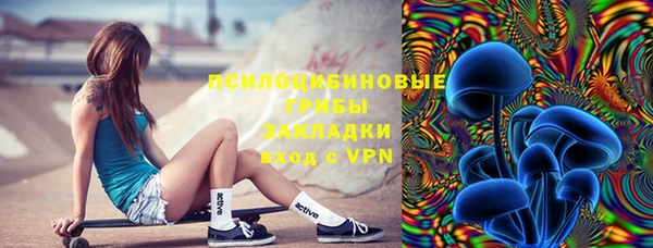 2c-b Горняк